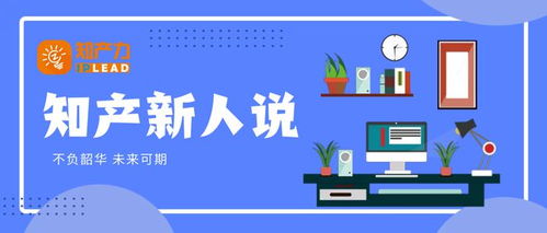 持续发现未知 知识产权与拍卖业务的双重探索之旅